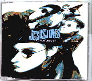 Jesus Jones - Never Enough